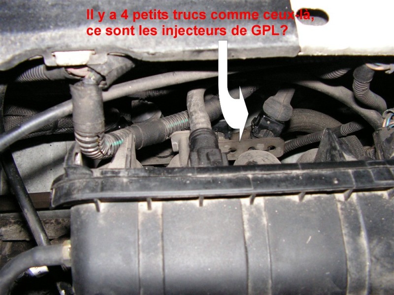 PICT0001.JPG