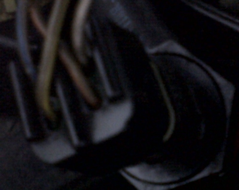 IMG00847-20101122-0823.jpg