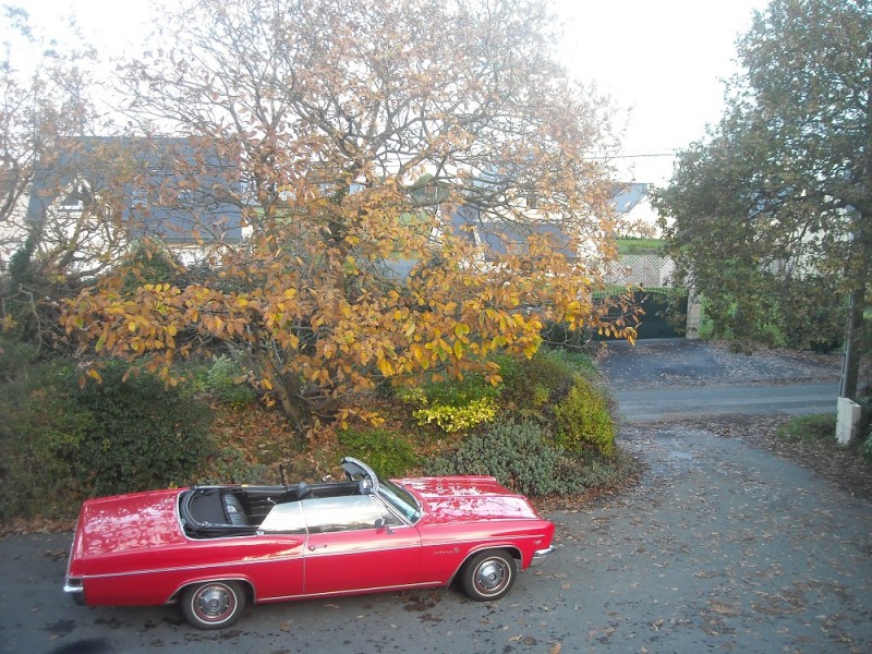 DSCN0058.JPG