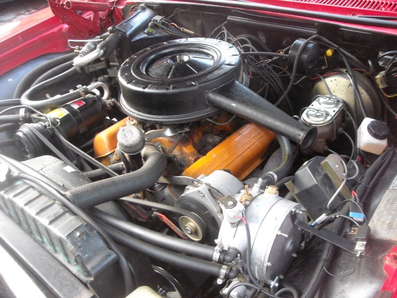DSCN0051.JPG