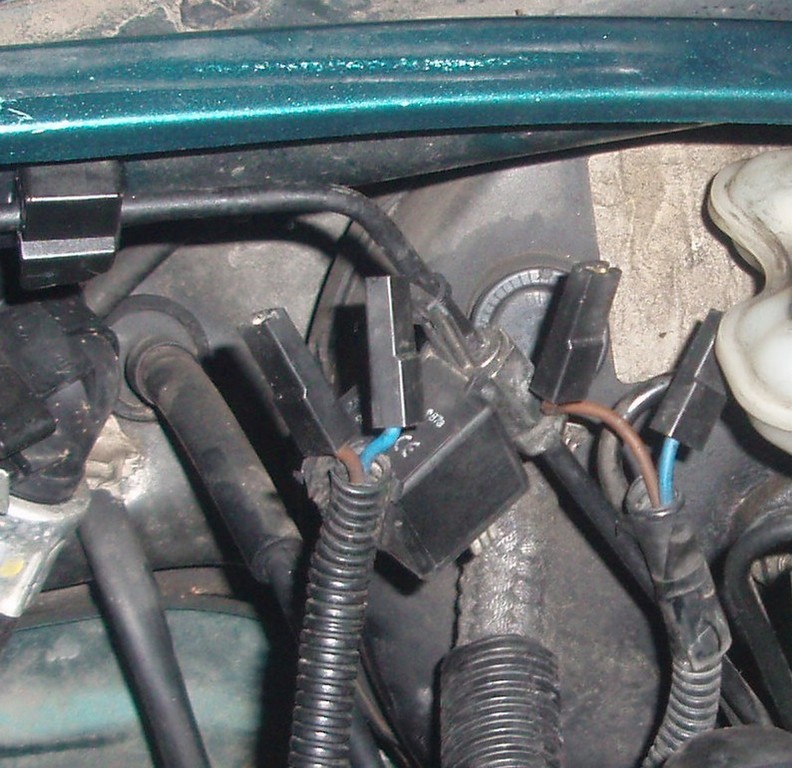 PC080092.JPG