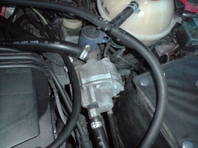 P310708_21.02[01].JPG