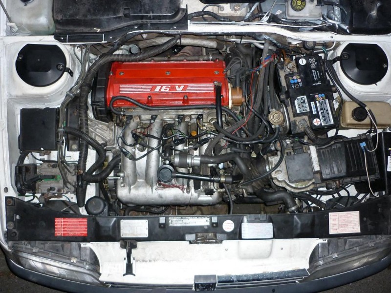 P1010881 28%.jpg