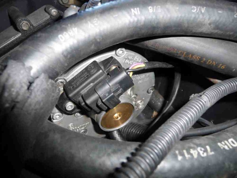 P1080870 réduite.jpg