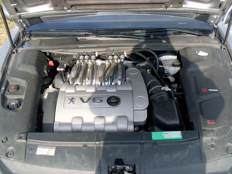 SDC19231 -- réduite.jpg