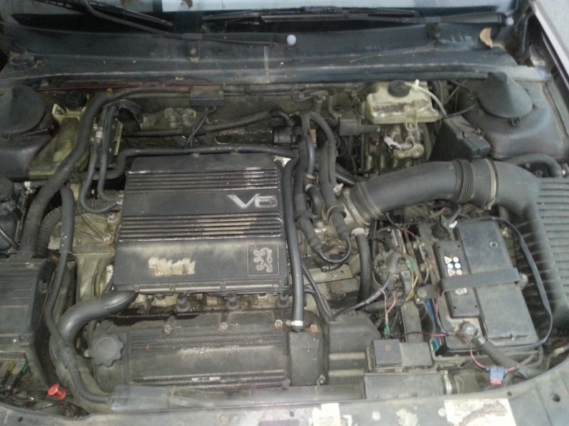 20131213_085530.jpg