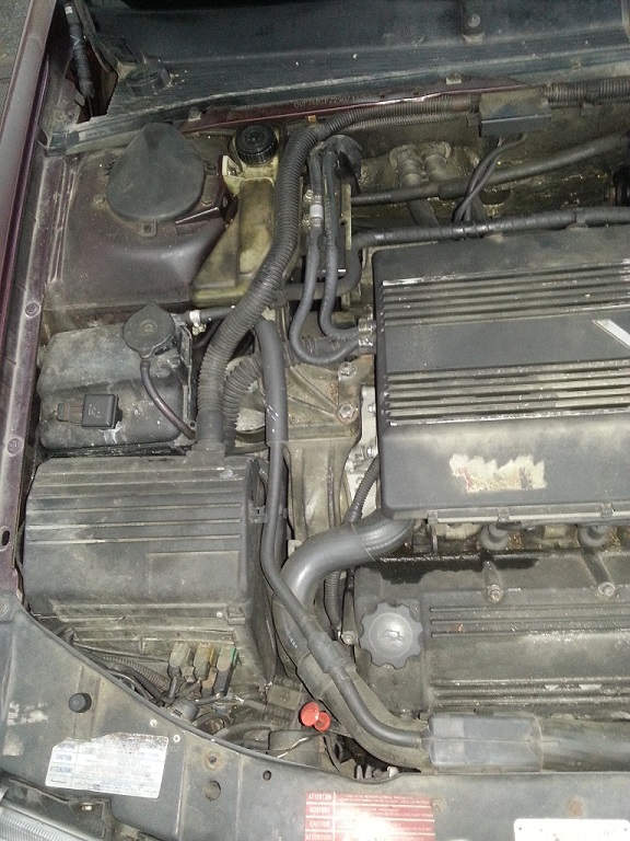 20131213_085549.jpg