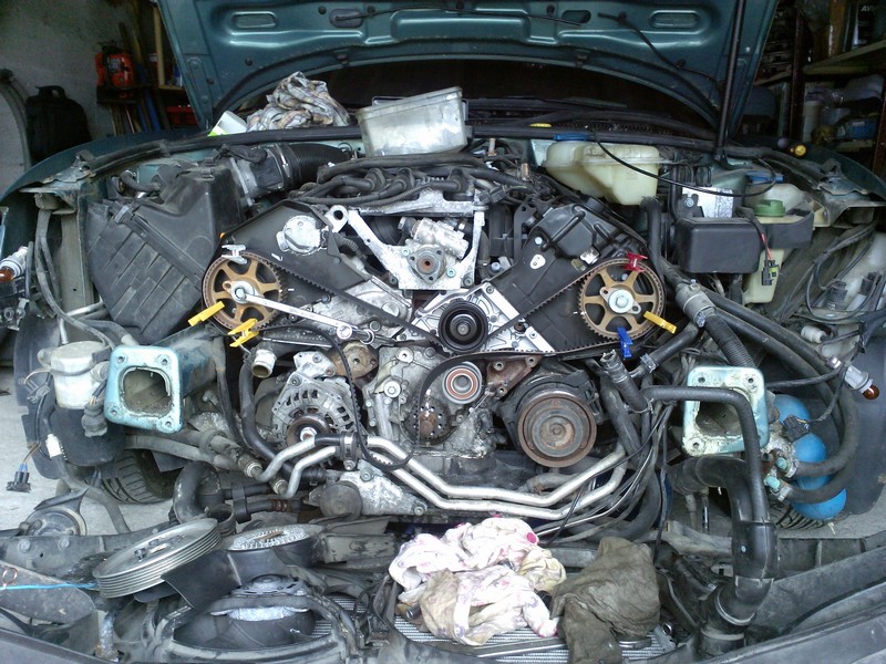 IMG800600.jpg