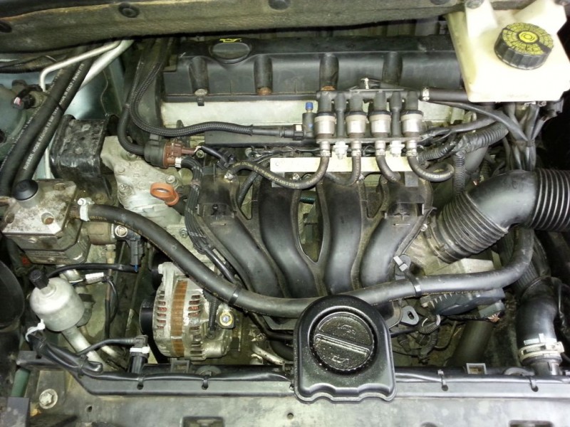 20140830_134019.jpg