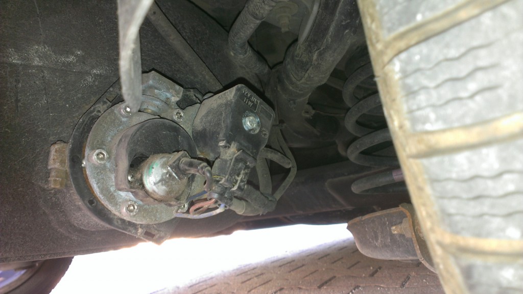 IMAG0989.jpg